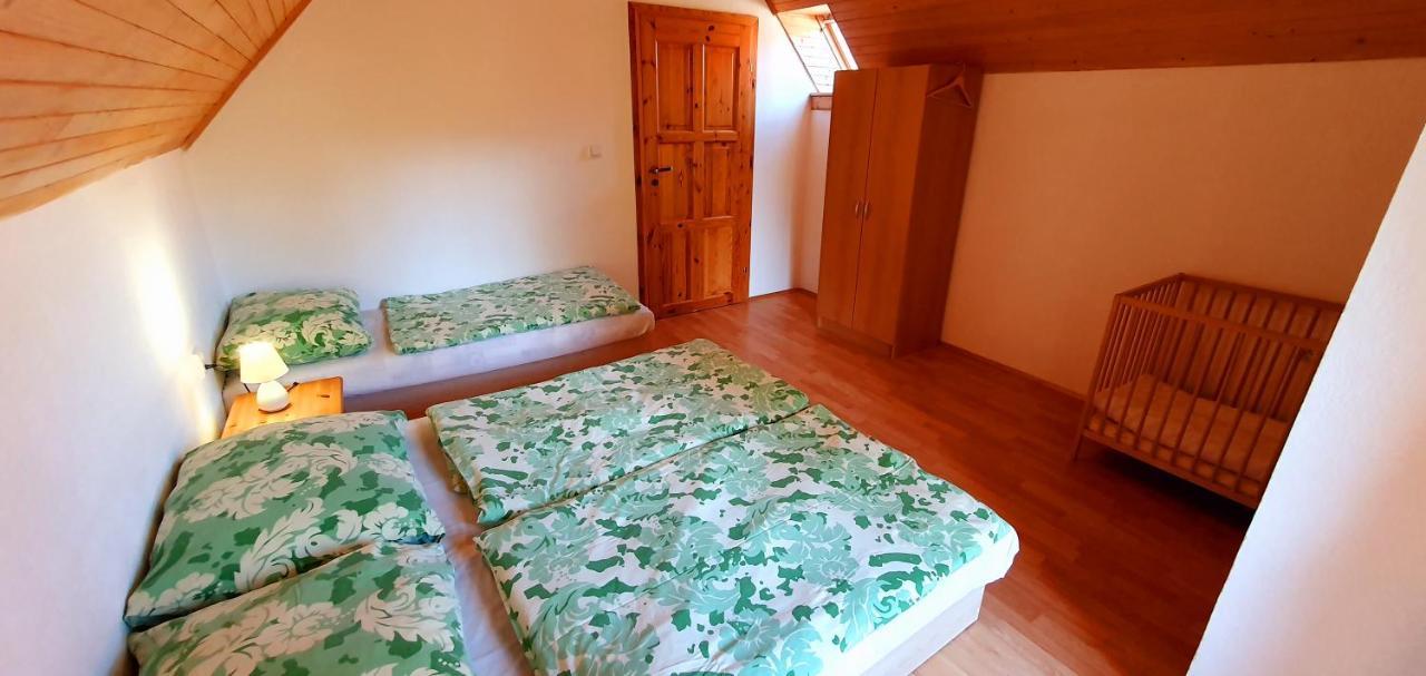 Vilka Cibulka A Chata Cesnacik Ižipovce 外观 照片